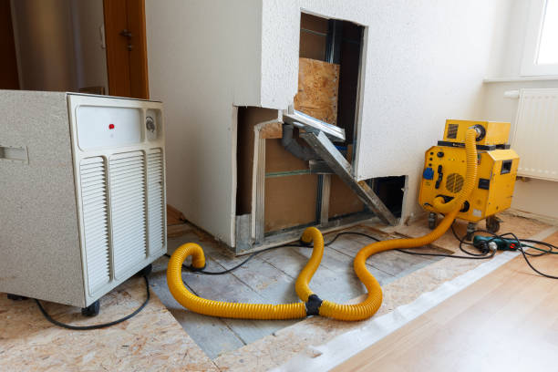 Best Mold Removal for HVAC Installations  in Eagleton Village, TN